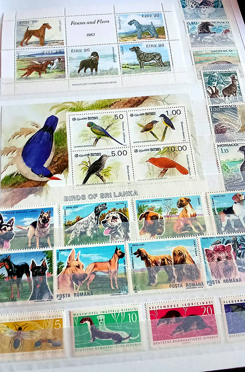 Flora y fauna del mundo, detalle 2