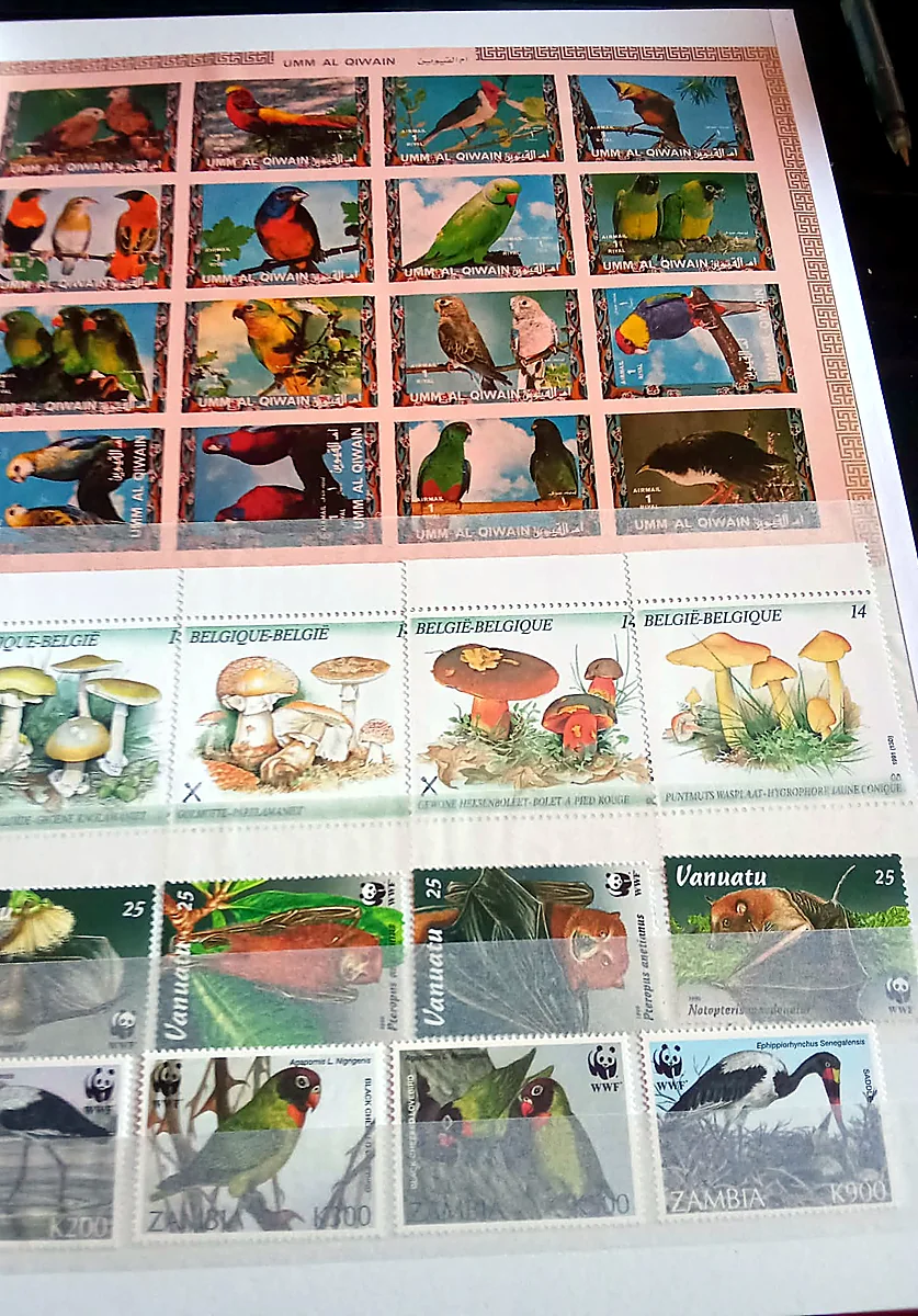 Flora y fauna del mundo, detalle 3