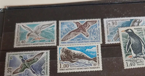 Tierras Australes y Antárticas Francesas · fauna — Tierras Australes y Antárticas Francesas, Por confirmar